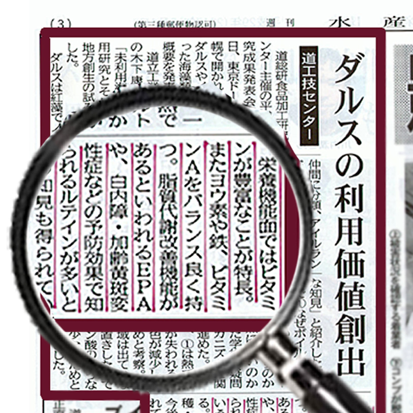 ダルス　だるす　海藻　産地直送　北海道　函館　尾札部産　通販　販売