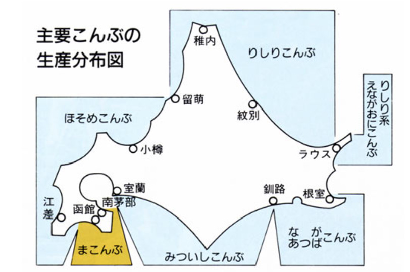 真昆布　こんぶ　産地直送　北海道　函館　尾札部産　通販　販売