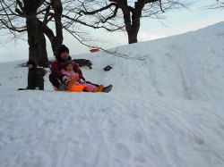 ソリすべり