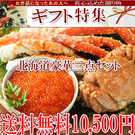 ギフト 送料無料 北海道 産地直送