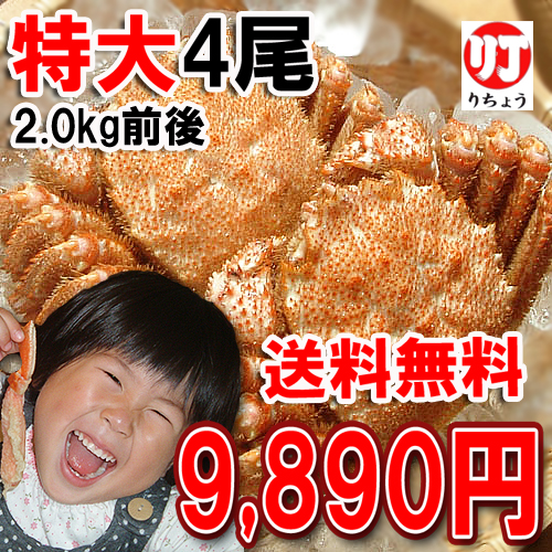 蟹 毛がに 送料無料