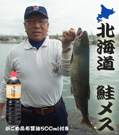 鮭 メス イクラ